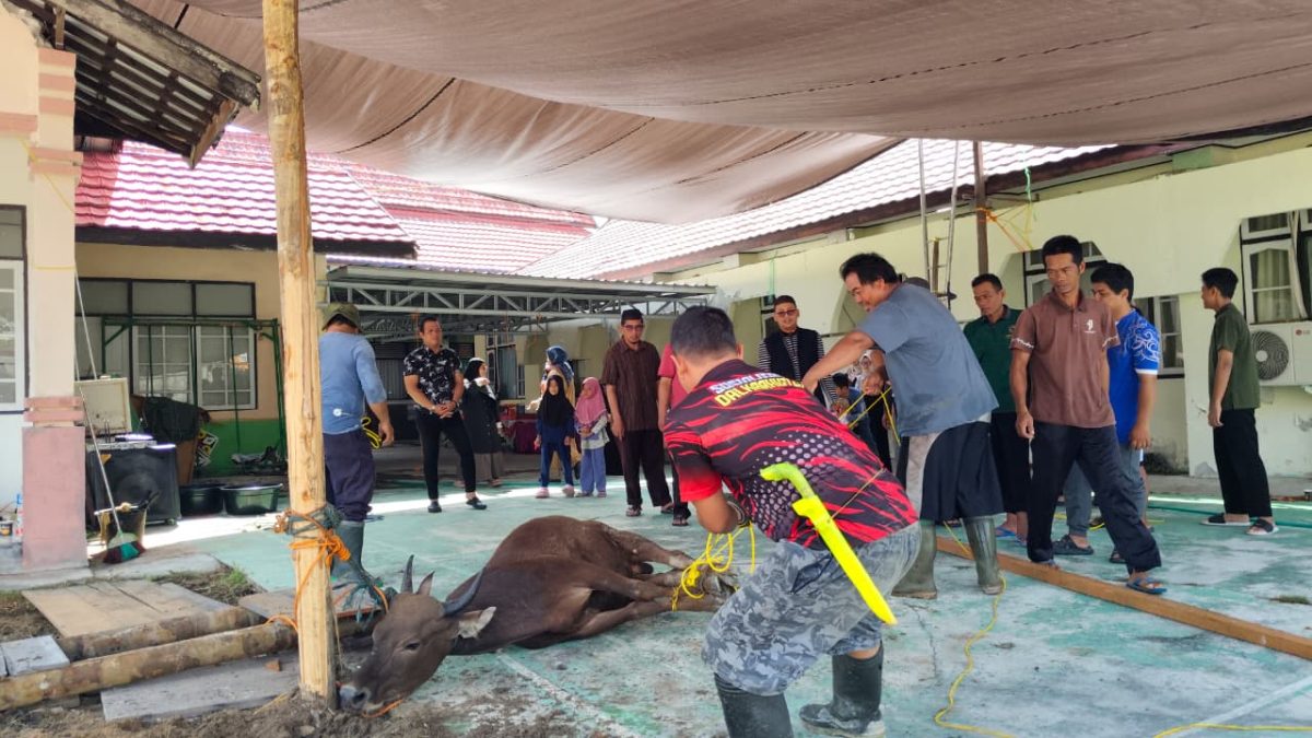 Dua Hewan Kurban Disembelih, Kakankemenag Ingin Semangat Berbagi Terus Menyala