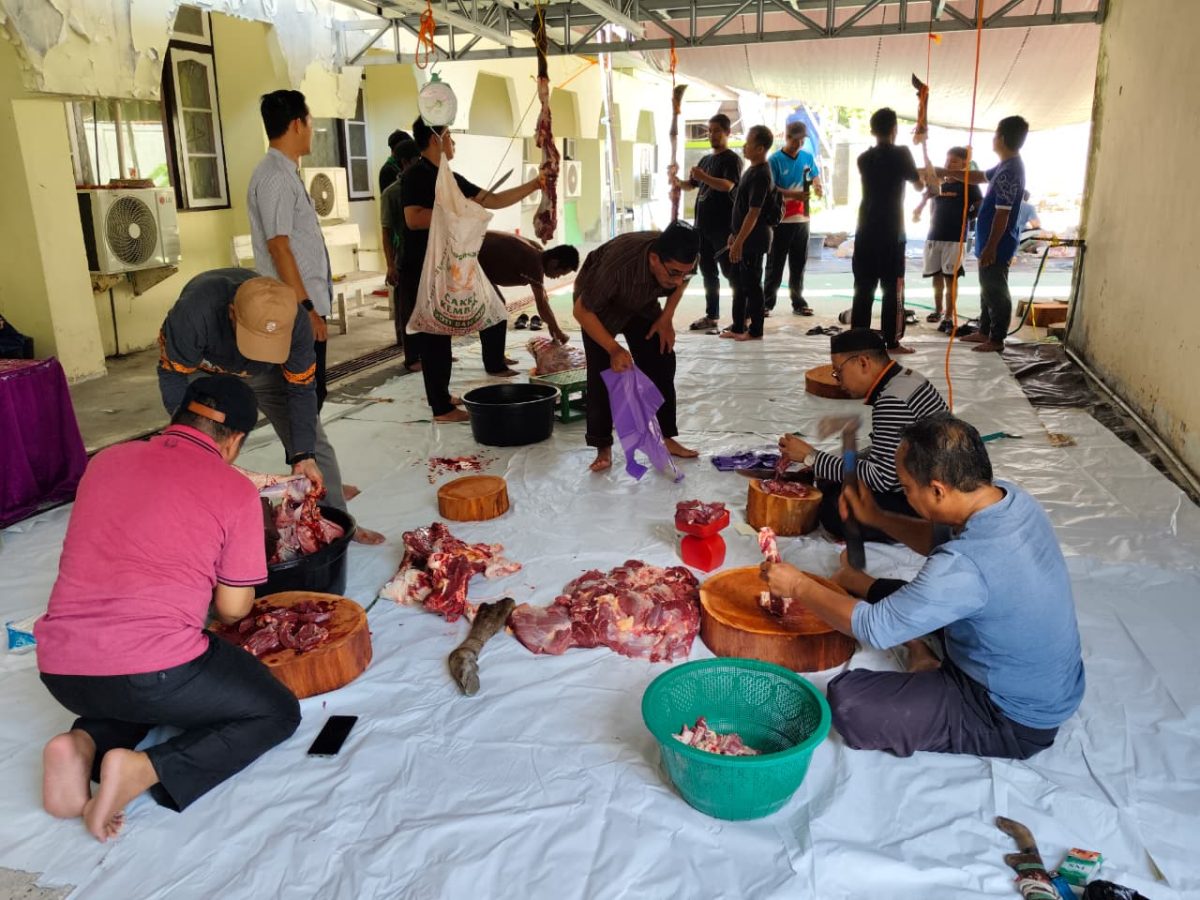 Sampul Panitia Kurban Kemenag Barsel Kompak Tangani Penyembelihan hingga Distribusi
